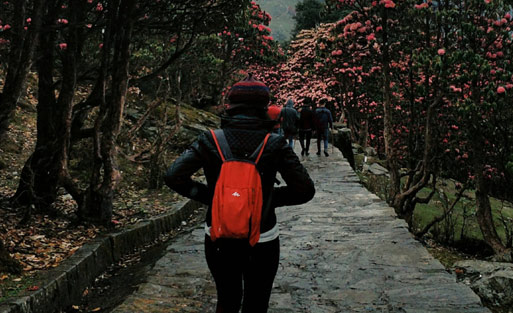 Rudra Camp Chopta